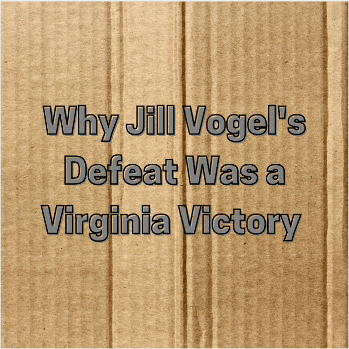 Fortunately for all Virginians, the next lieutenant governor of that same state will never be Virginia State Senator Jill Holtzman Vogel so long as people in that state remain wise to her true colors.
