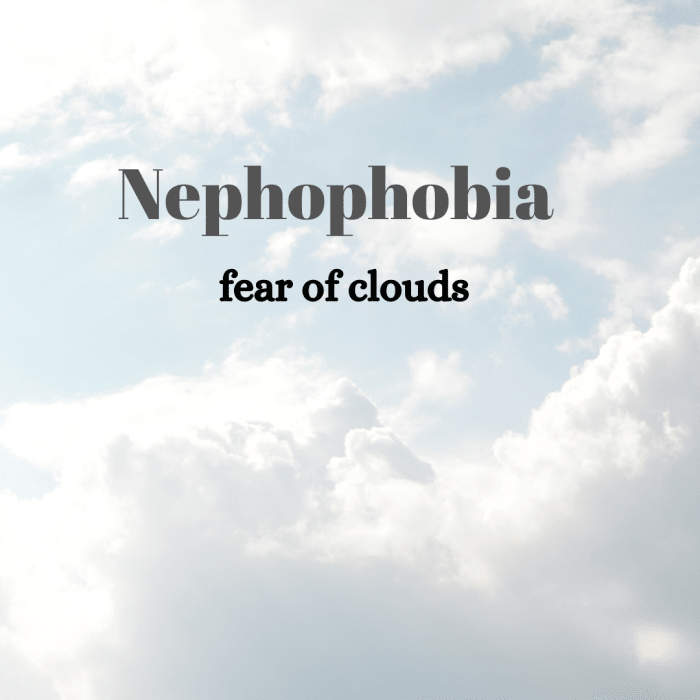 A Comprehensive List of Phobias and Obscure Fears YouMeMindBody