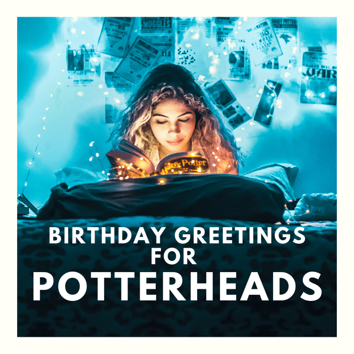 Die-hard harry potter fans live, breathe, and sleep in the wizarding world. Make sure your birthday wish matches their interests!