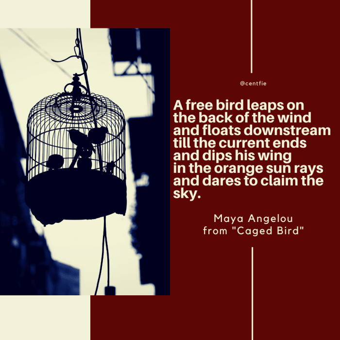 maya angelou poem caged bird