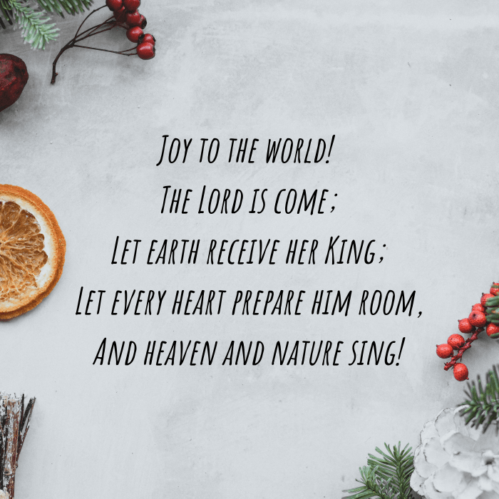 "Joy to the World" is as popular as any Christmas carol, but few know where it came from or what it means.