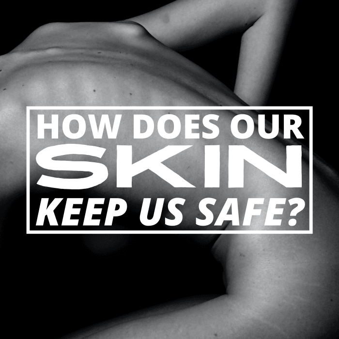 Our skin is all that stands between us and the outside world. Luckily, it is quite effective at keeping us safe.