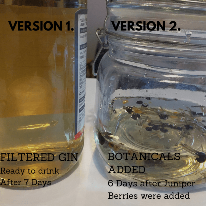 Color comparison between gin 1 which is ready to drink and gin 2 that has another 6 days to ferment.
