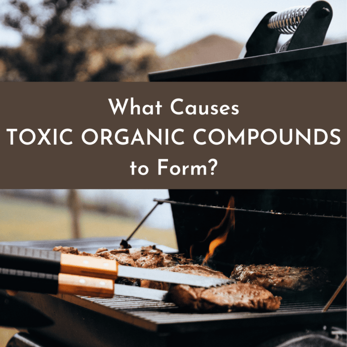 Learn about some of the unusual ways that toxic organic compounds can be formed, such as from barbecuing meat and treating water.