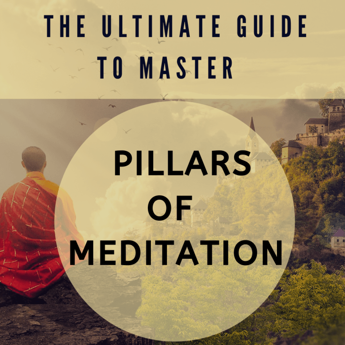The ultimate guide to master the pillars of meditation to keep yourself mentally, emotionally, and physically fit
