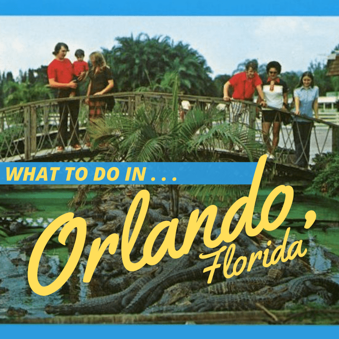 With more to see and do than almost anywhere else in the country, Orlando is a a tropical paradise for locals and visitors alike.