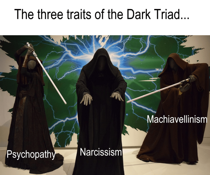 The three personality profiles that comprise the Dark Triad - Narcissism, Psychopathy, and Machiavellianism.