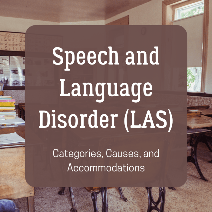 Learn more about speech and language disorder (LAS), including the different categories and how it's accommodated in the classroom.