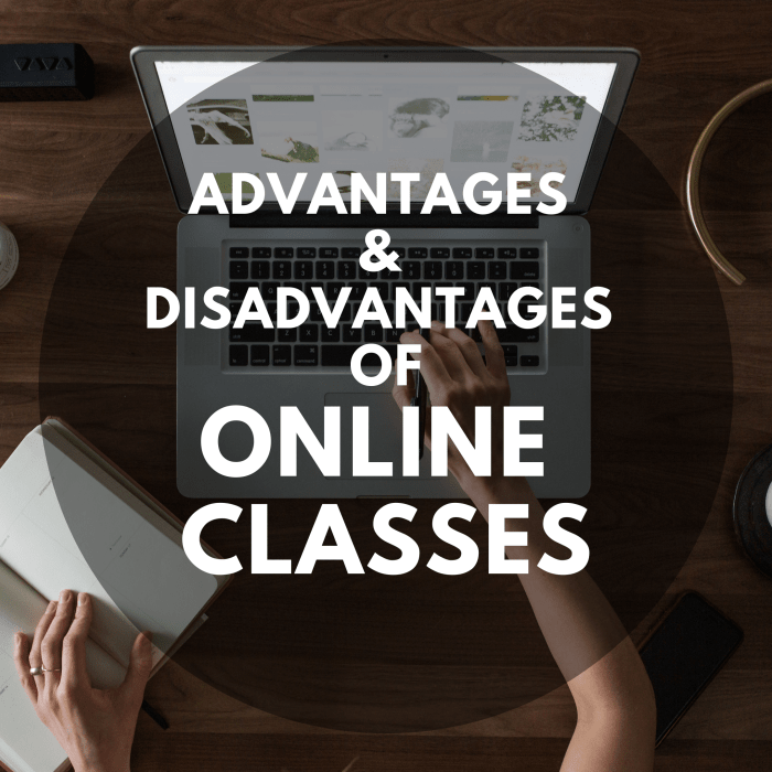 The Advantages and Disadvantages of Online Classes - HubPages