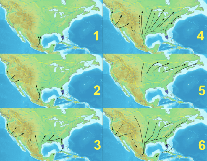 Monarch flight patterns from March to November