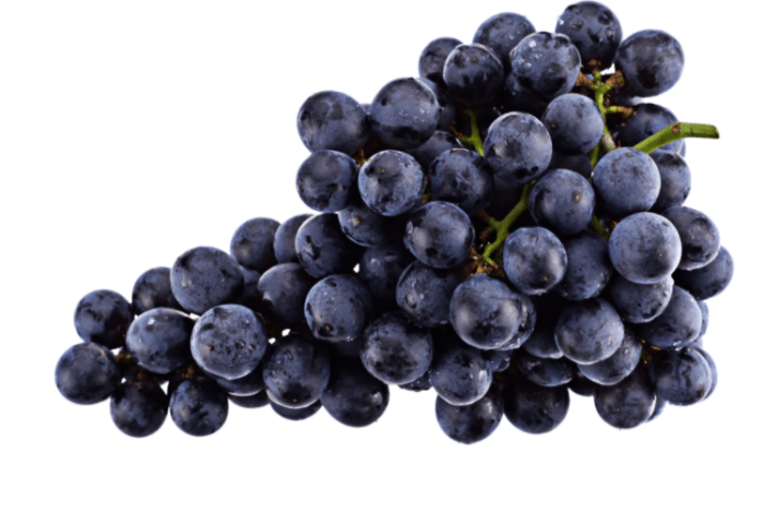 Pinot is French for "pine," signifying that the grapes grow in clusters that look like pine cones. Noir is French for "black," which describes the dark hue of the grapes.