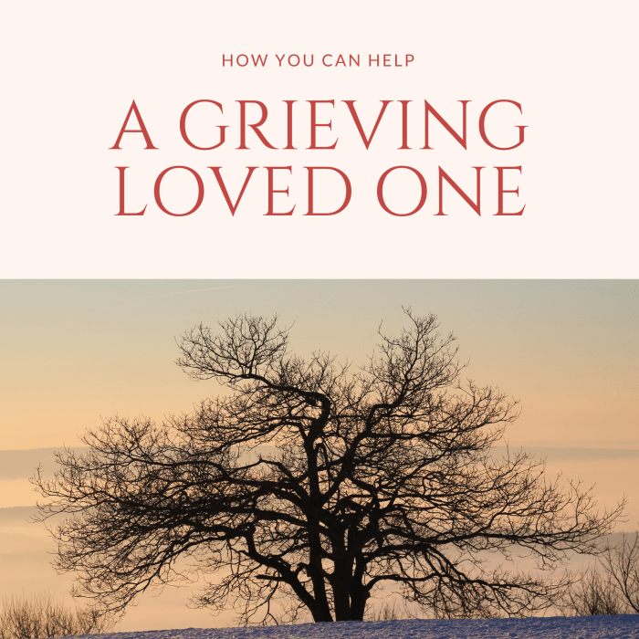 Losing a loved one is difficult. It takes awhile to get used to the new normal. Here are some ways you can help a grieving friend or family member, based on my own experience of losing my husband.
