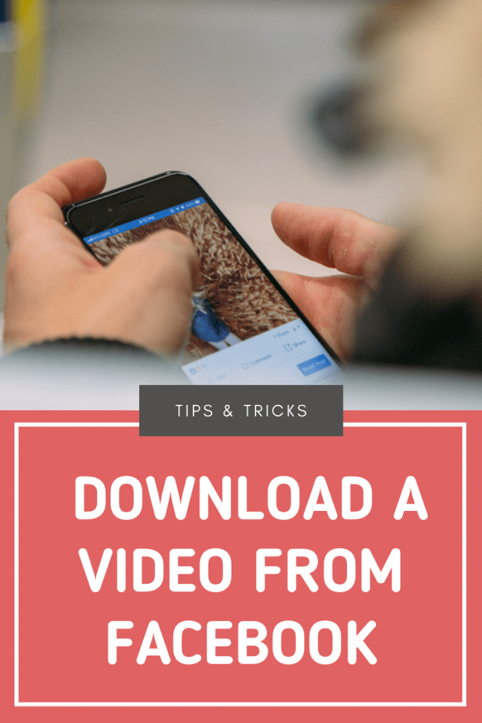 How to Download Video from Facebook to Computer TurboFuture Technology