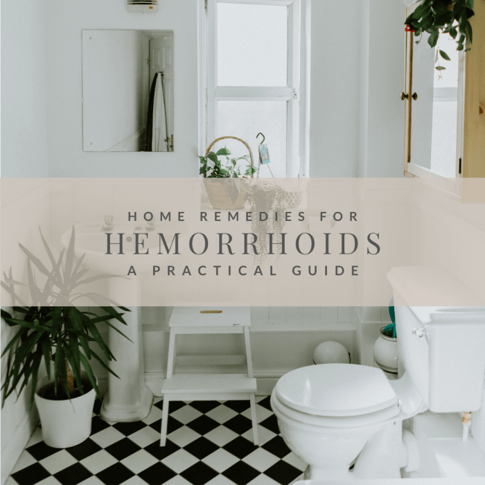 Help for Hemorrhoids Cloth Toilet Paper, Handheld Bidet, and Toilet