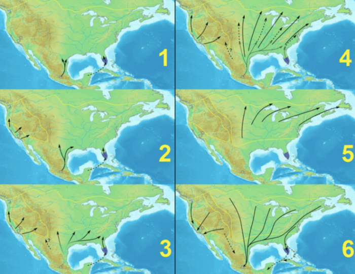 Monarchs migrate over thousands of miles annually.
