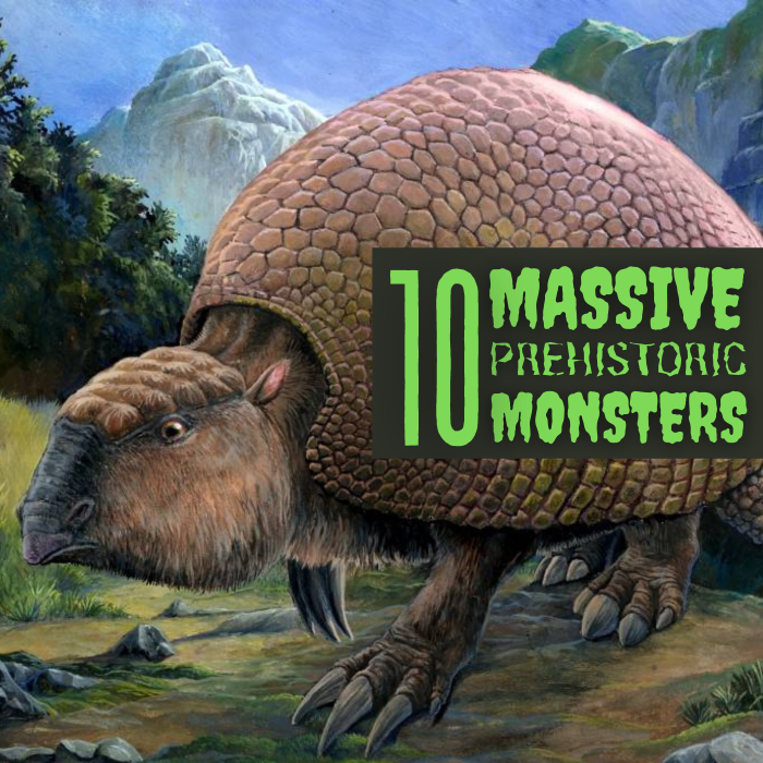 The heavily armed Glyptodon (pictured here) is the oldest known relative of the modern-day armadillo.