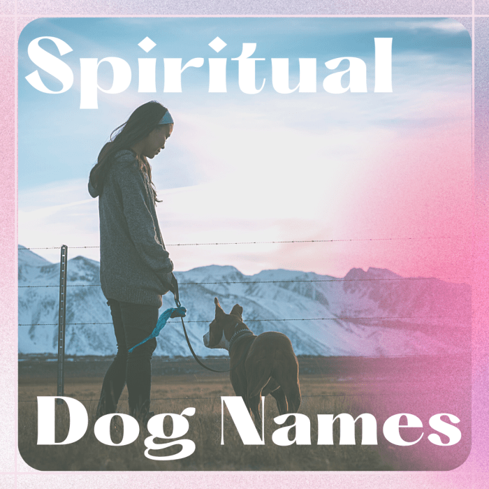 霊性と神秘主義に触発されたあなたの犬のためのいくつかの意味のある名前を発見してください。