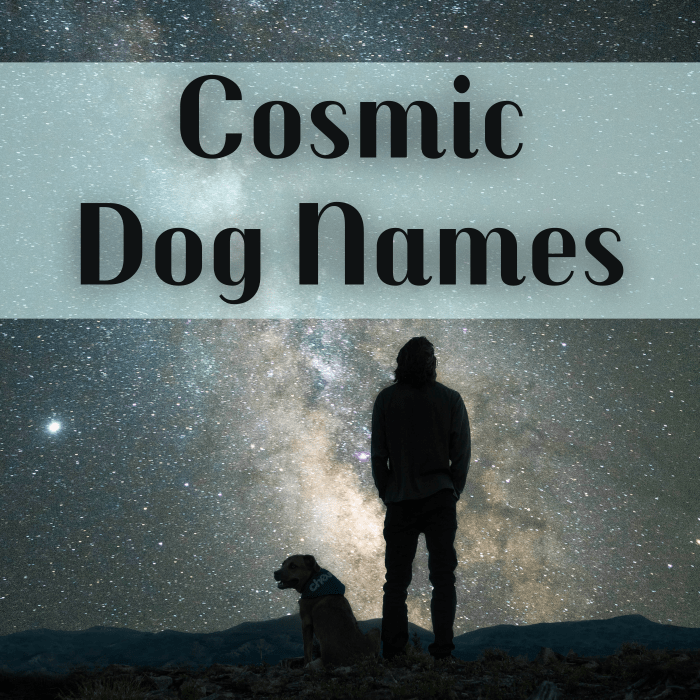 Take inspiration from the stars when naming your dog. Discover name ideas such as Atlas, Vega, Galaxy, Titan, and (of course) Pluto.