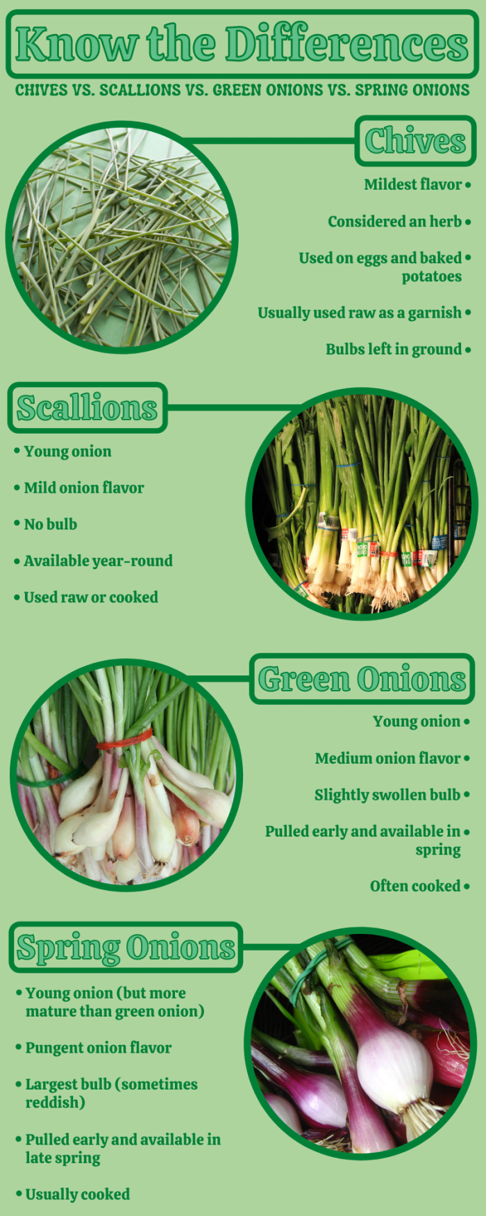 From flavor profiles to suggested uses, here are a few quick differences between chives, scallions, green onions, and spring onions.