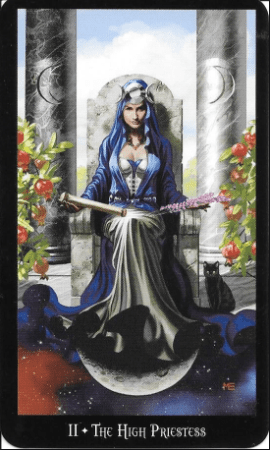 The High Priestess invites you to explore both your conscious and subconscious mind. She is the gateway to knowledge, particularly of femininity. She has a connection to the Divine. People seek her for both mental and physical help.