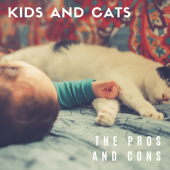 Kids and Cats The Pros and Cons PetHelpful