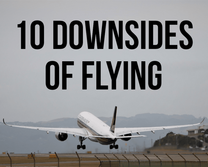 From lack of legroom to inconsiderate seatmates, here are my 10 main negatives of plane travel.