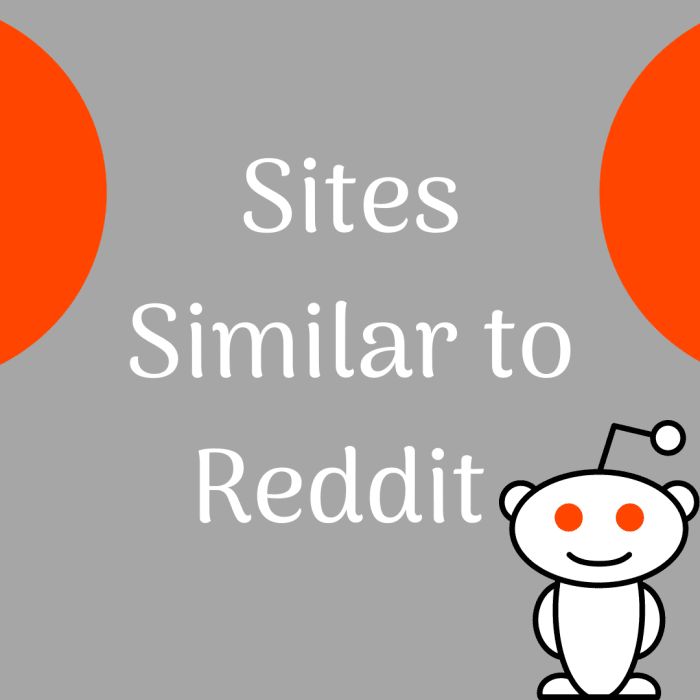 Voici quelques excellentes alternatives à Reddit. Vous serez accro à ces sites en un rien de temps !'ll be addicted to these sites in no time at all! 