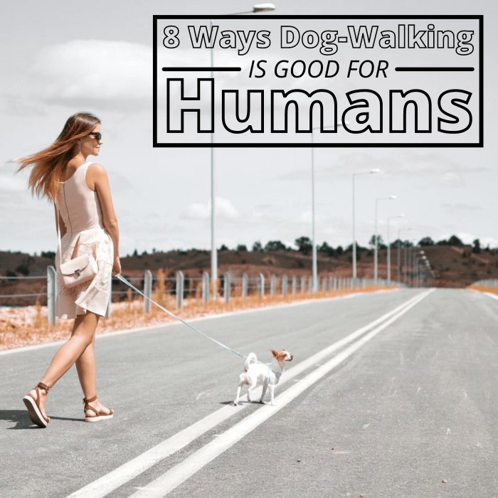 We all know that dogs love going for walks, but did you know taking your dog for a walk is as good for you as it is for them?