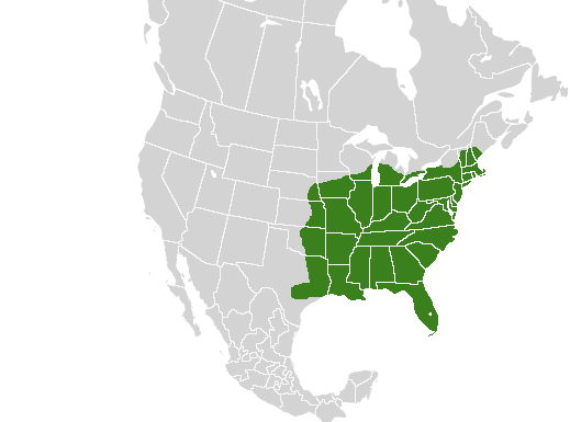 Map of North America showing the spicebush swallowtail's range.