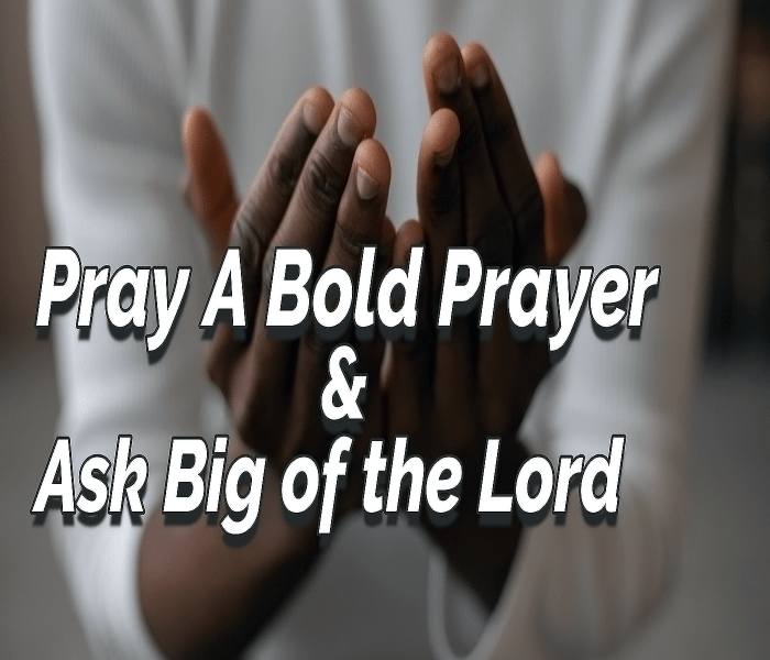 Not every person can ask boldly before God. Some are overwhelmed by doubt and scared to ask because they lack confidence. Yet as believers, we are obliged by the Holy Scriptures to boldly seek God.