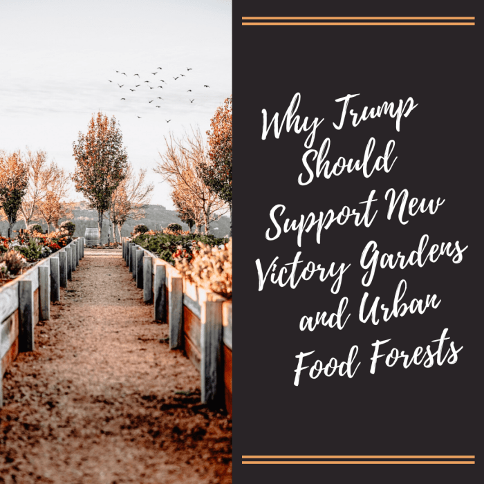 Due to a potential food crisis, President Trump should support efforts to promote and fund community gardens.