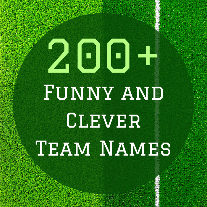 A Complete List of Cool, Funny, and Clever Team Names HowTheyPlay