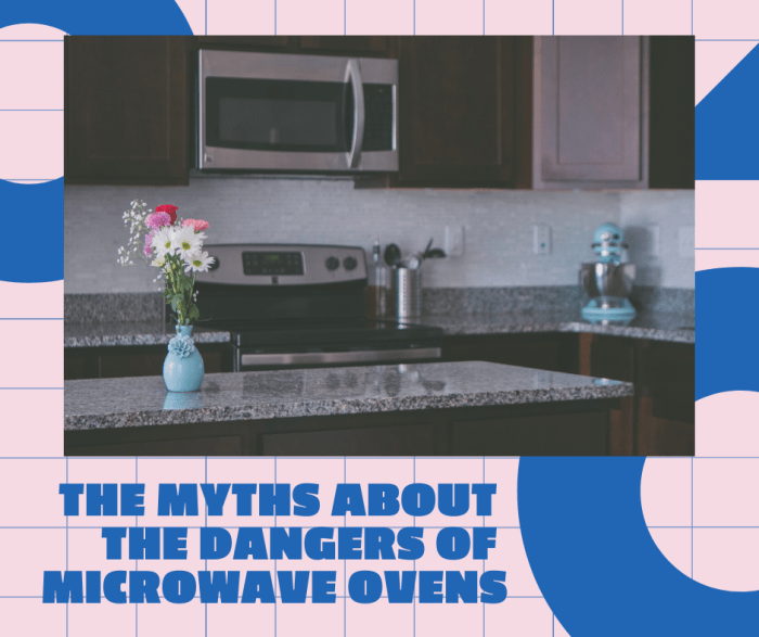Investigating the Myths About the Dangers of Microwave Ovens Delishably