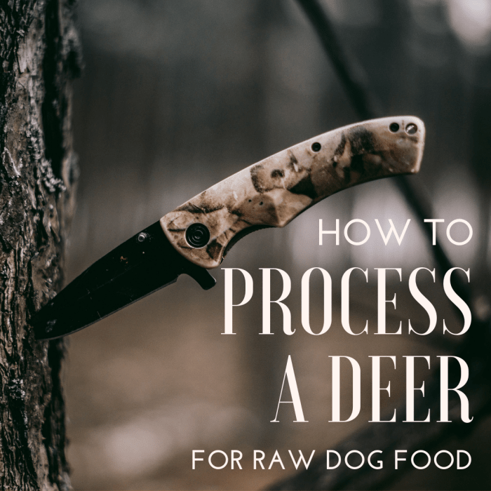 How to process a deer for dog food.
