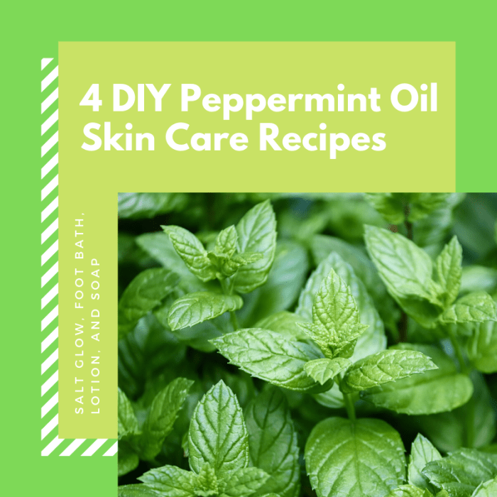 This article will compile four different recipes for making homemade skin care products based on the restorative powers of peppermint oil.