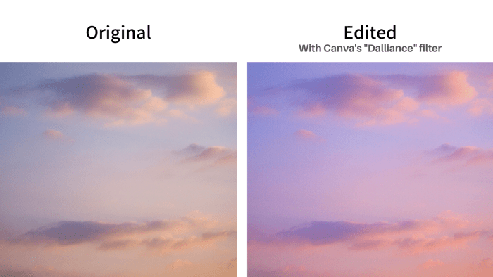 An example showcasing the power of filters! The left-hand photo shows the original and the edited photo is on the right-hand side.