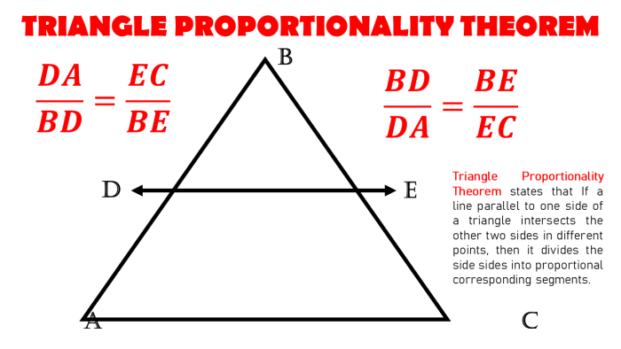 Triangle Proportionality Theorem (With Proof and Examples) - Owlcation