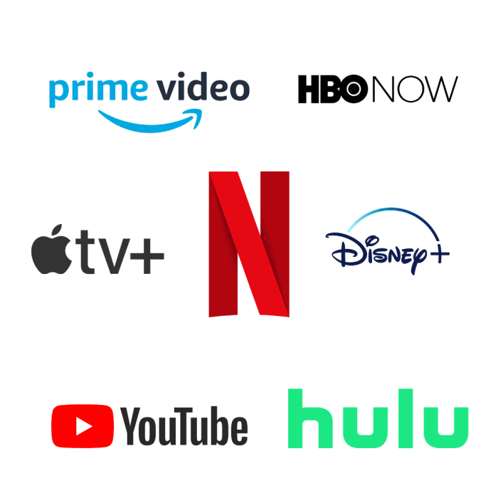 This graphic shows the Netflix logo surrounded by the logos of some of the platforms main competitors.