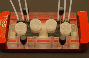 This device is known as human on a chip. As in this device cell from four different organs have been linked together on a chip to mimic the human body.
