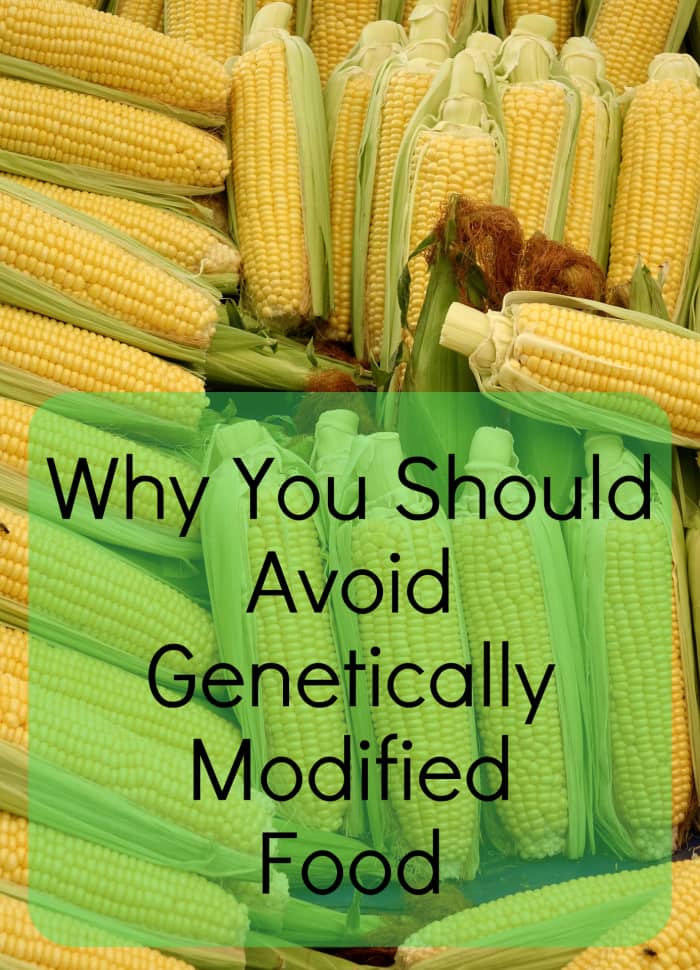 The Negative Side Effects Of Eating Genetically Modified Foods Soapboxie
