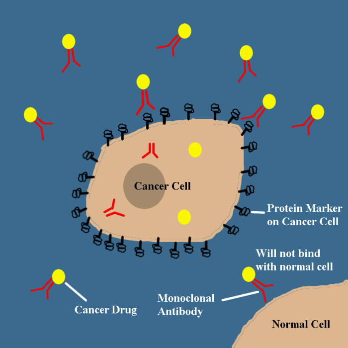 cancer biotechnology research topics