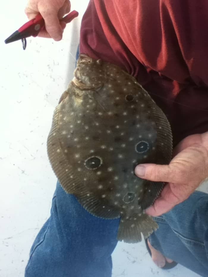 Flounder Fishing Tips And Techniques Skyaboveus