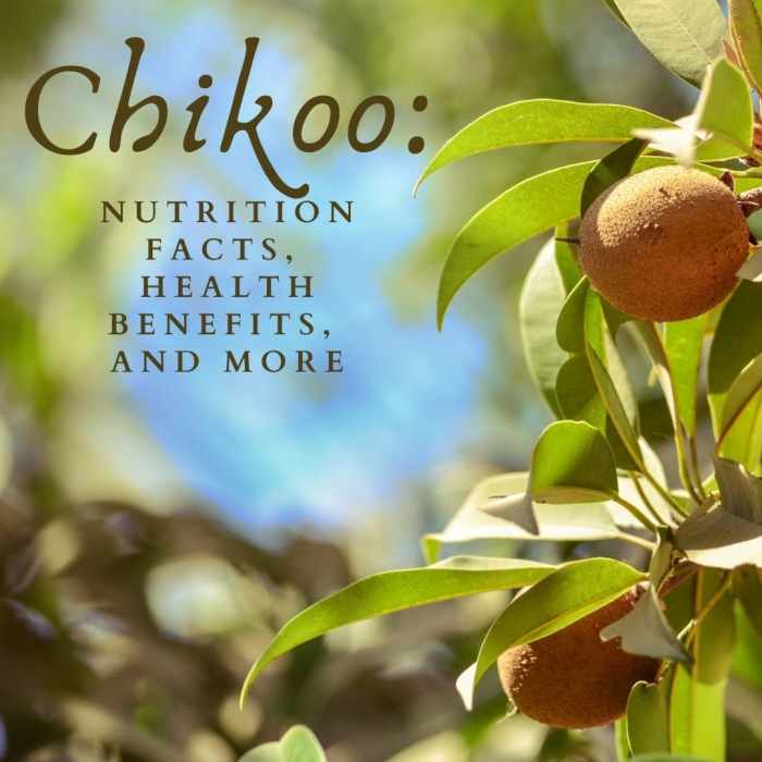 The Health Benefits of Chikoo or Sapodilla Fruit - CalorieBee