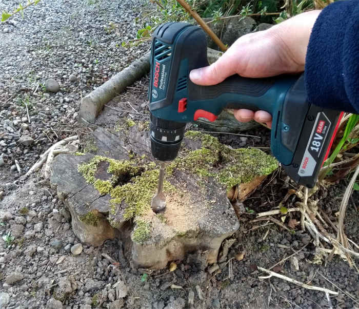 How to Remove a Tree Stump Easily Dengarden Home and Garden