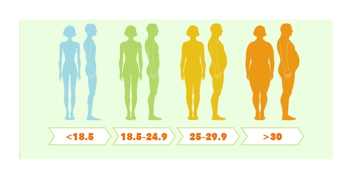how to calculate bmi: are you overweight?