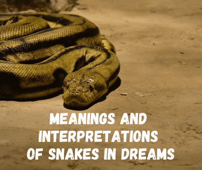 islamic interpretation of dreaming of snakes