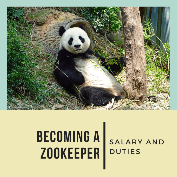 a Zookeeper Salary and Duties HubPages