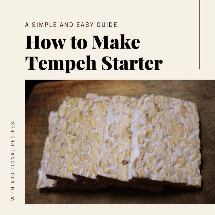 How to Make Your Own Tempeh Starter - Delishably