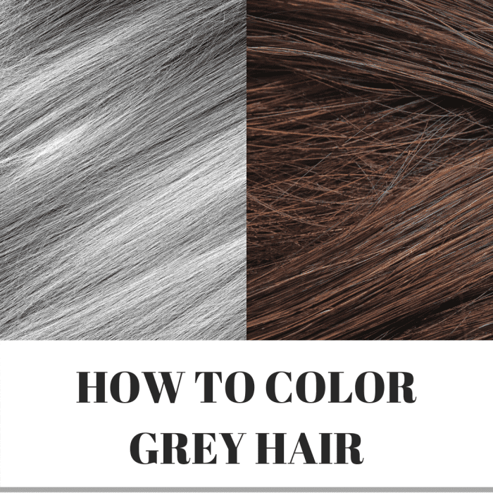 How to Color Grey Hair Bellatory