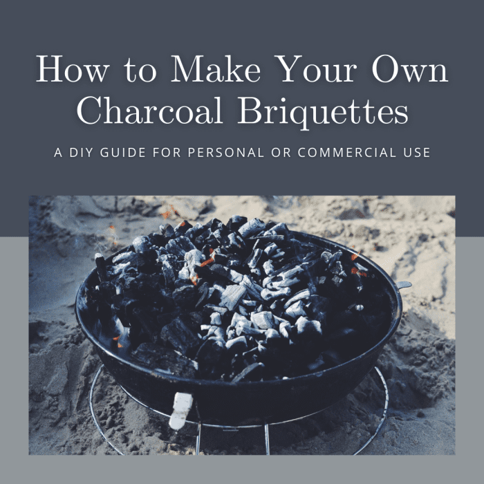 How to Make Your Own Charcoal Briquettes (2022)